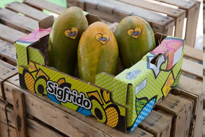Caja de Papaya 5kg