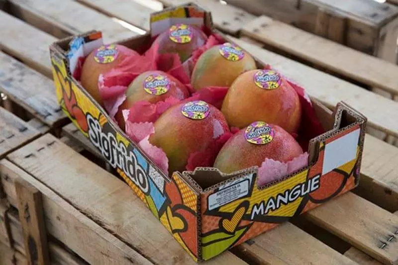 Mango Box 4kg