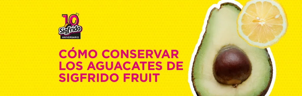 Cómo conservar los aguacates de Sigfrido Fruit 